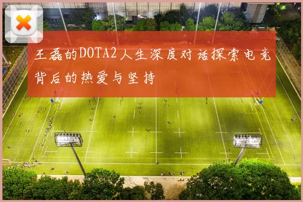 王磊的DOTA2人生深度对话探索电竞背后的热爱与坚持