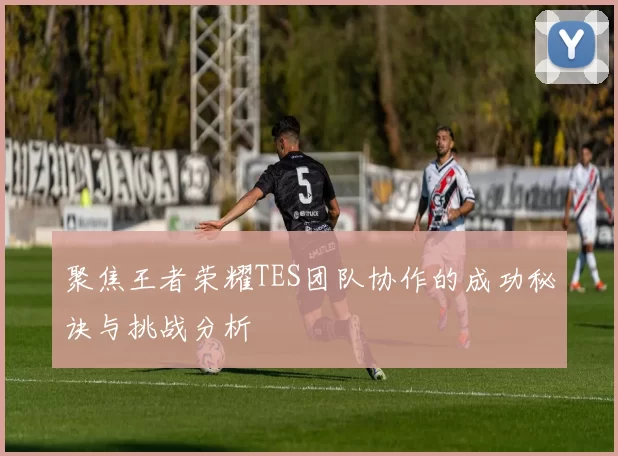 聚焦王者荣耀TES团队协作的成功秘诀与挑战分析
