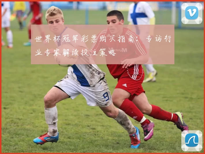 世界杯冠军彩票购买指南：专访行业专家解读投注策略