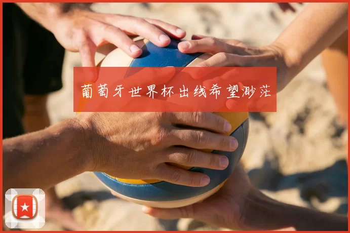 葡萄牙世界杯出线希望渺茫
