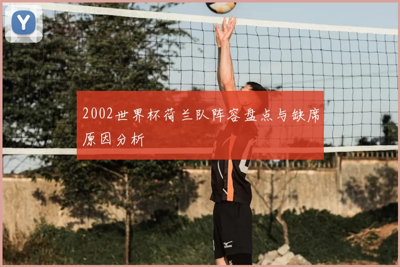 2002世界杯荷兰队阵容盘点与缺席原因分析