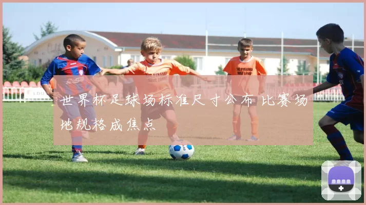 世界杯足球场标准尺寸公布 比赛场地规格成焦点