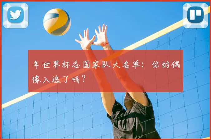年世界杯各国家队大名单:你的偶像入选了吗?