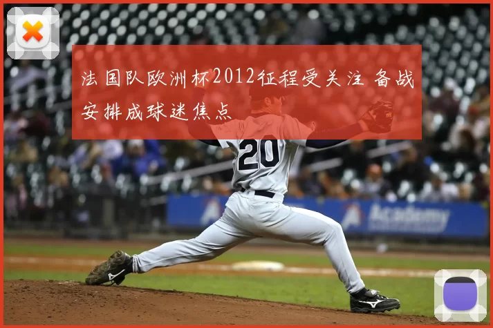 法国队欧洲杯2012征程受关注 备战安排成球迷焦点