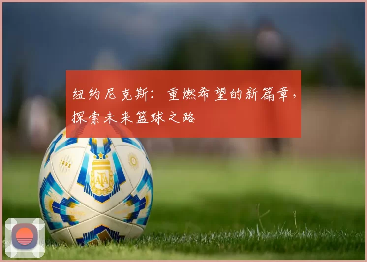 纽约尼克斯：重燃希望的新篇章，探索未来篮球之路