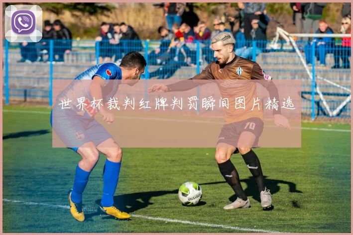 世界杯裁判红牌判罚瞬间图片精选