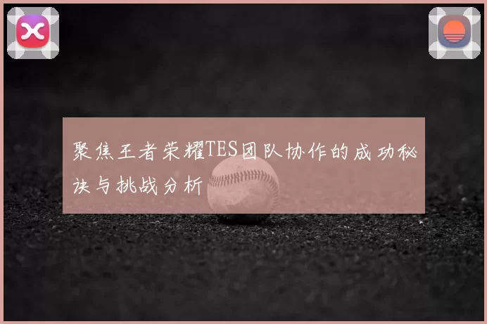 聚焦王者荣耀TES团队协作的成功秘诀与挑战分析