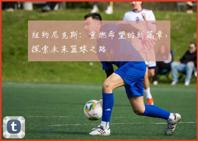 纽约尼克斯:重燃希望的新篇章,探索未来篮球之路